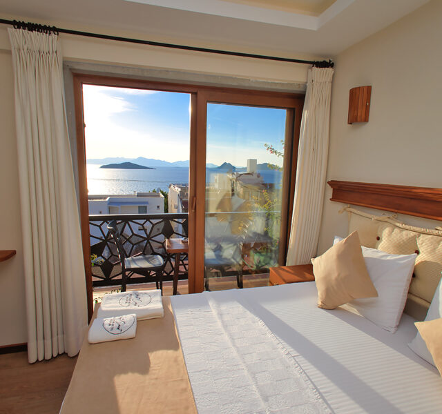 DELUXE SEA VIEW ROOM